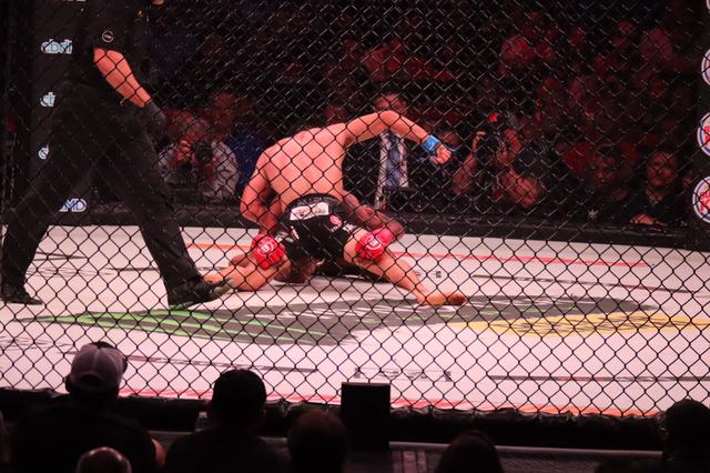 画像4: 堀口恭司、Bellatorバンタム級タイトルマッチを制し二大プロモーション同時制覇達成!
