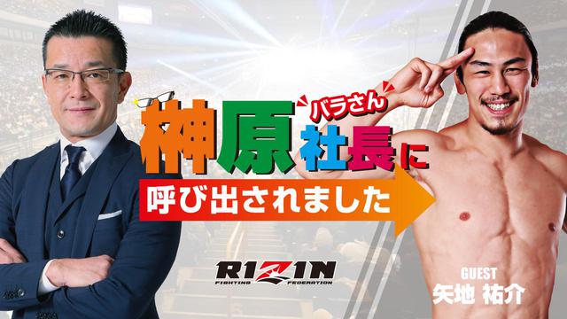 画像: 次回 ライブ配信日時