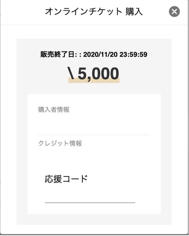 画像: クレジットカードの場合の応援コード入力画面