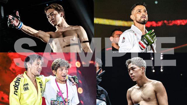 【絶版初版帯】金と女のわが闘争 Amazon.co.jp: 逆襲！スケ番☆ハンターズ～地獄の決闘～ [DVD] : 亜紗