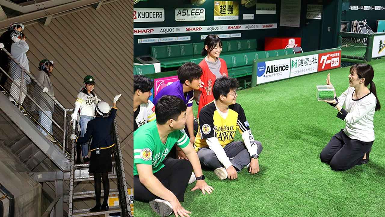 画像: みずほPayPayドーム情報 | 福岡ソフトバンクホークス