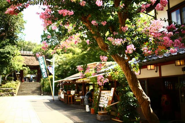 画像1: 月刊ゴルフダイジェスト11月号 美食ゴルファー養成講座で紹介した「深大寺そば」