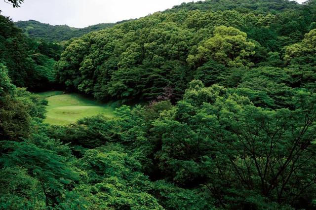 画像1: “森の9ホール”を大冒険!
湯河原カンツリー倶楽部 真鶴コース