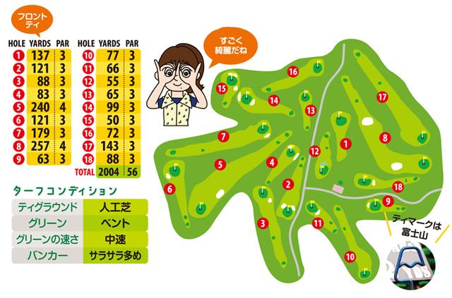 画像3: 赤松と白樺の間をスーッと風が吹き抜ける