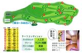 画像3: 4人乗り乗用カートあり。うれしいね! クラブを全部持っていける!