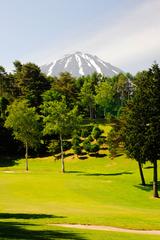画像2: 赤松と白樺の間をスーッと風が吹き抜ける