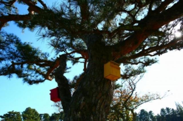 画像: 残り距離を示すヤード杭のかわりに置かれた小鳥箱が何ともカワイイです。ちなみにここは起伏があるせいか、距離感が惑わされがち。キャディさんの言うことをしっかりと聞きましょう(涙)。