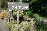 画像7: 麓の地形がそのまま! 大富士ゴルフクラブ