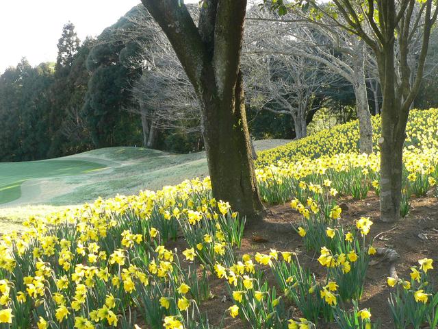 画像4: 気を抜けるホールがひとつもない