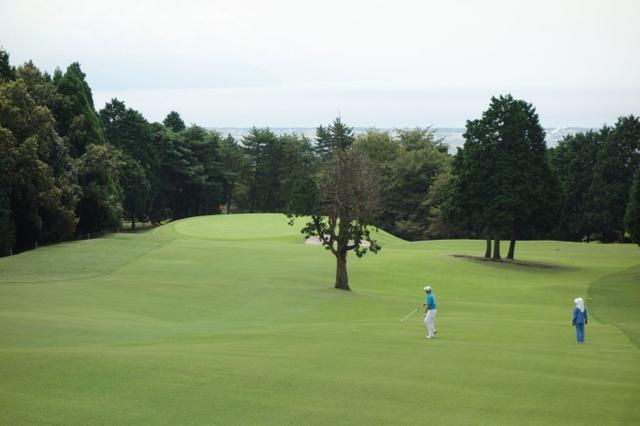 画像9: 麓の地形がそのまま! 大富士ゴルフクラブ
