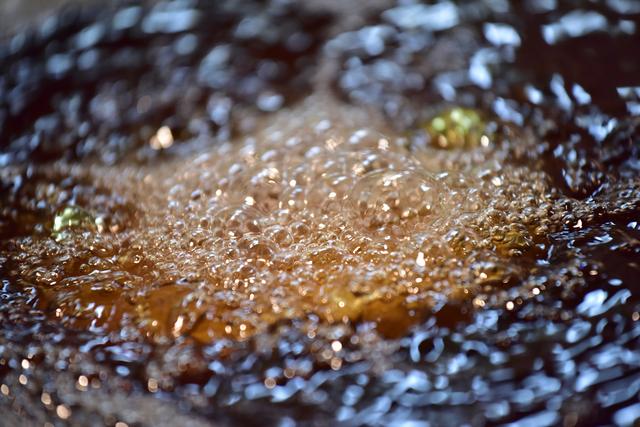 画像4: ロースカツの常識を覆す!
上野「ぽん多本家」のカツレツ