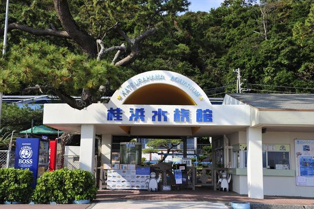 画像: 市内から車で20分ほど南へ。桂浜にある「桂浜水族館」には、ある生き物を見ることができます。 katurahama-aq.jp