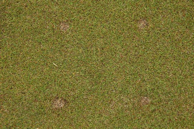 画像4: 10月のトーナメントに 負けないコンディション