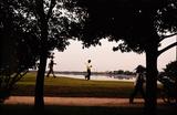 画像1: 大きなグリーンは上級者ほど乗せづらい。
アマ・ゴルフの世界 中部銀次郎「広野を往く」⑤