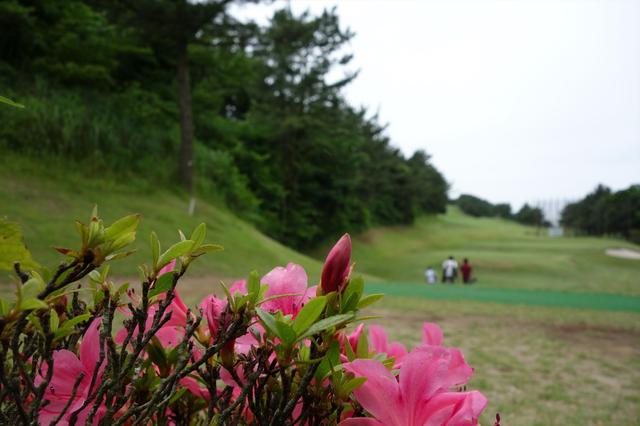 画像: 葉山パブリックGC 神奈川県三浦郡葉山町上山口2800 9H・1479Y・P30