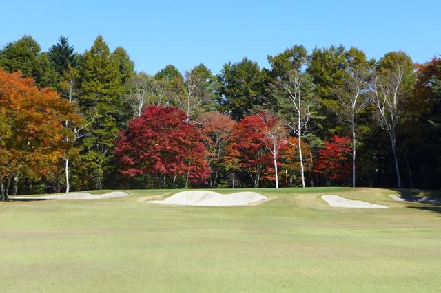 画像: 10月下旬の軽井沢GC。さぁこのピン、どうやって攻めようか…