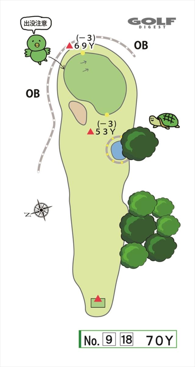 画像: No.9/No.18 70Y