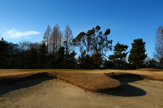 画像: 浦和ゴルフ倶楽部 埼玉県さいたま市桜区新開3-13-1 大久保昌設計の林間コース。