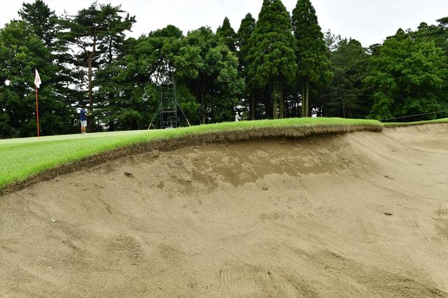 画像: No.17 178Y Par3