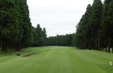 画像1: No.18 506Y Par5