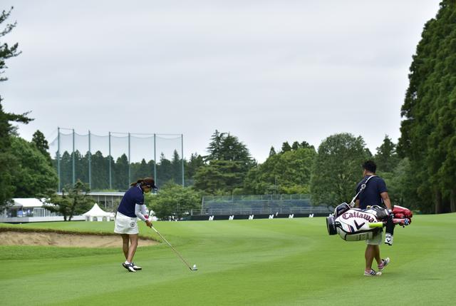 画像2: No.18 506Y Par5