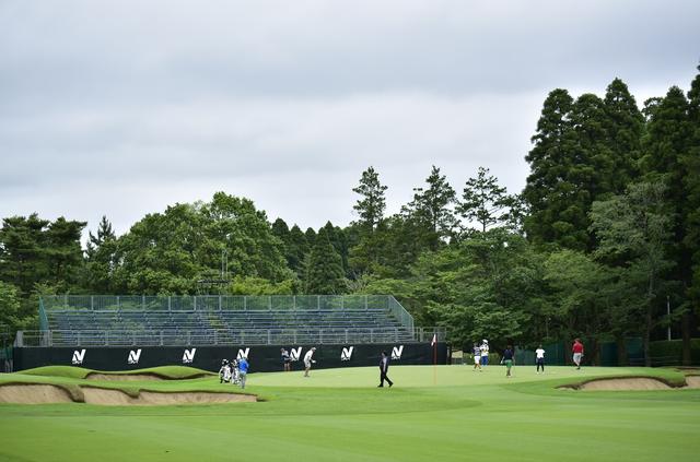 画像4: No.18 506Y Par5
