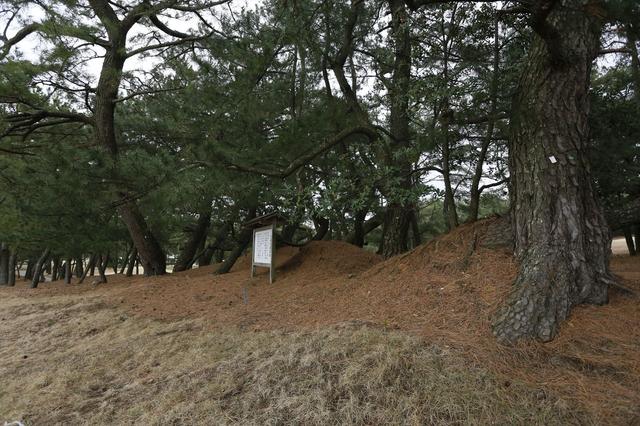 画像1: 本州最西端の港町・下関紀行【後編・駅南で味わう釜山の味】