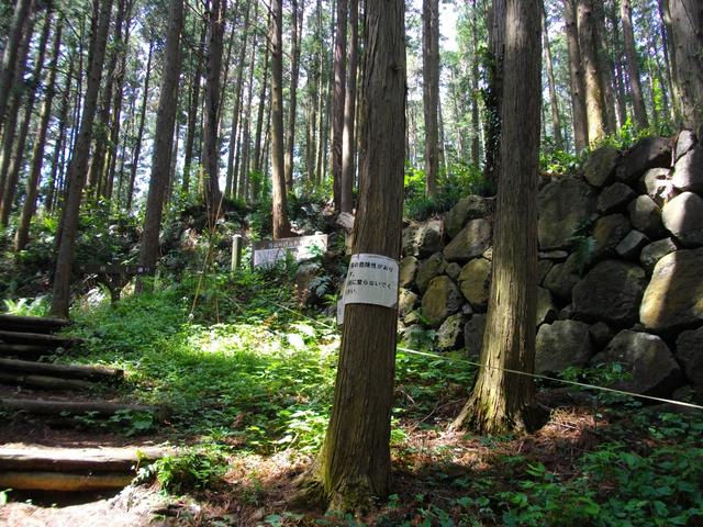 画像: 烏山城は「八高山に築かれた山城で、山上部に本丸、二の丸を中心に五城三廊と呼ばれる廟を配し、城山の東麓に万治2年(1659年)に堀親昌によって三の丸が増築され、御殿と多門櫓が築かれた」そうです(某pedia情報)