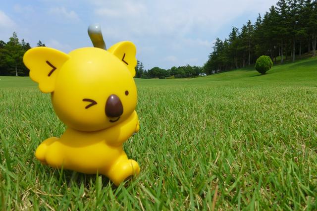 画像: どうも!ナイスショットコアラです!