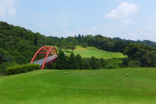 画像: 名物の8th 195 y Par3 。グリーンは砲台になっているので、はずすとアプローチが難しい minayoshidai-golf.jp