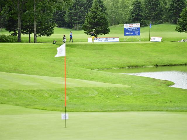 画像1: No.17 163Yards Par3