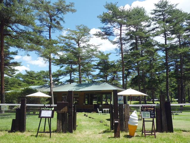 画像: カフェオンブラージュの外観。開放的な雰囲気が漂う