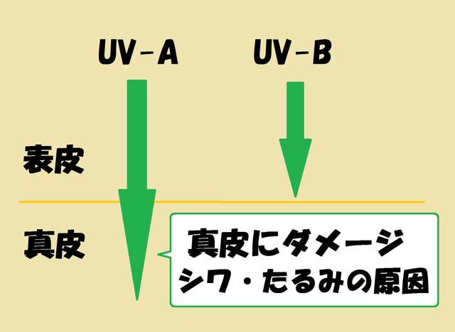 画像: 紫外線には2種類ある。より奥に届くのがUV-Aだ