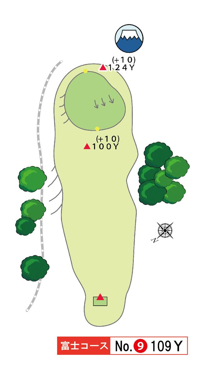 画像: 富士コース 8番 161Y