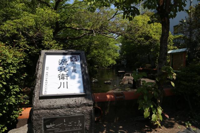画像: 名水百選「源兵衛川」