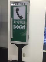 画像: 見本がありました!