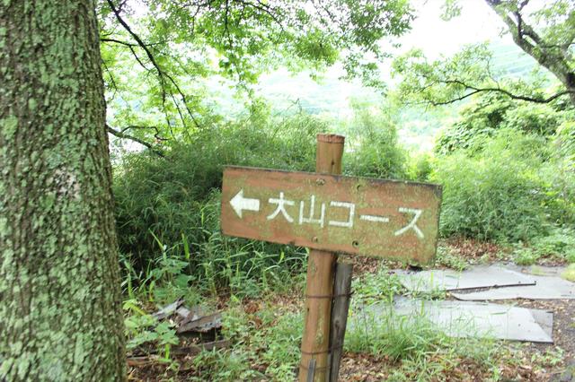画像4: 厚木ICから20分の”秘境”!伊勢原カントリークラブ