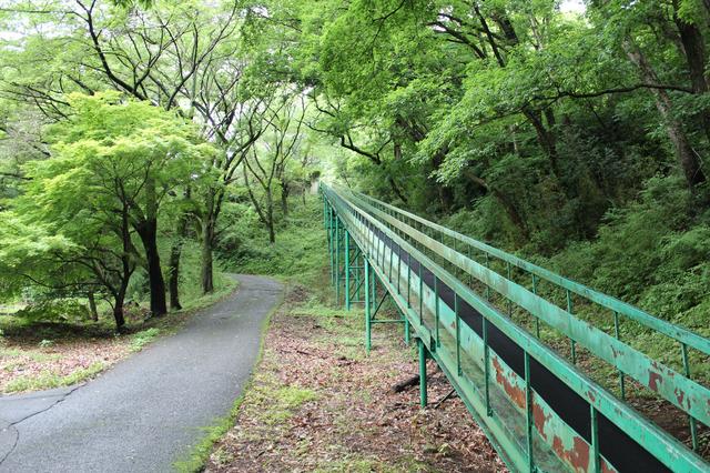 画像4: いよいよティオフ