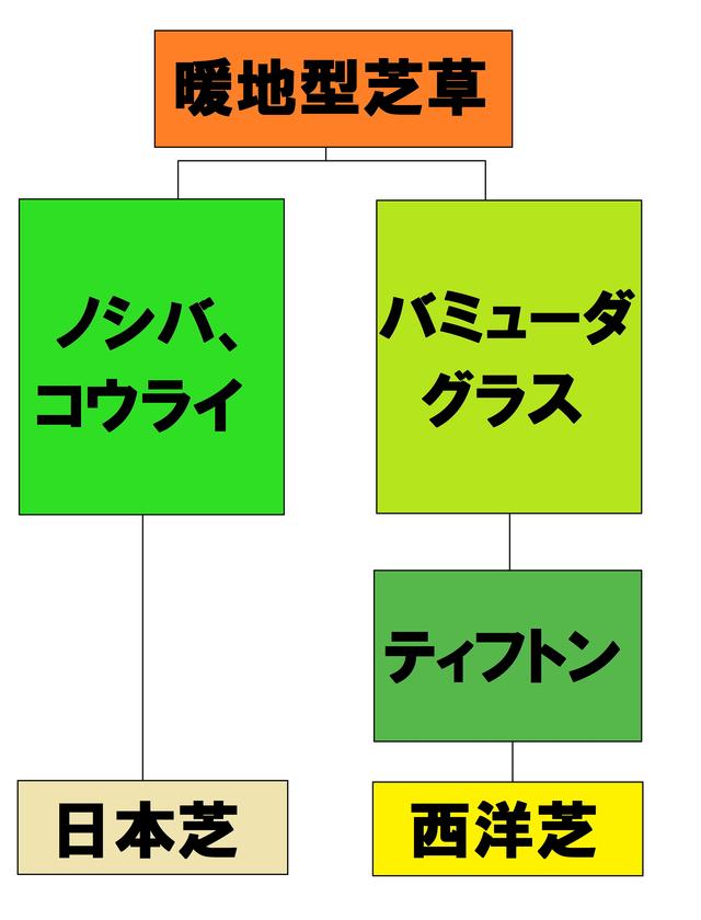 画像5: 【芝博士になろう】これは何をする道具でしょうか?