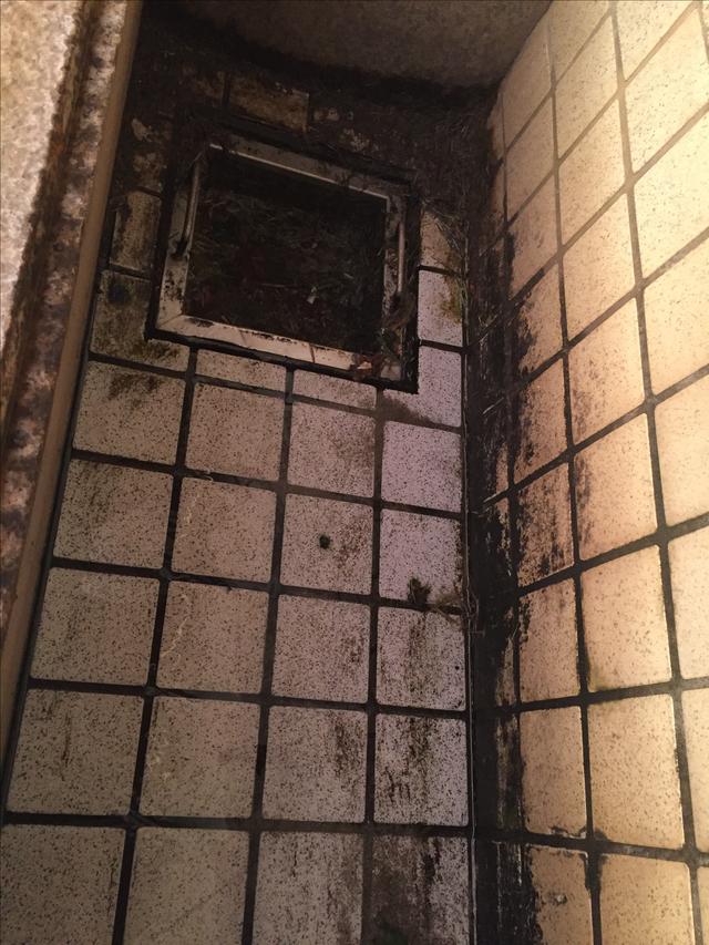 画像2: 【マナー講座】プシューはスパイクを乗せてから
