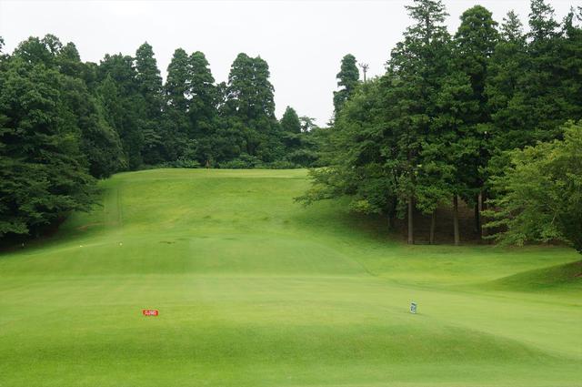 画像1: 東コース 8番 146Y/116Y