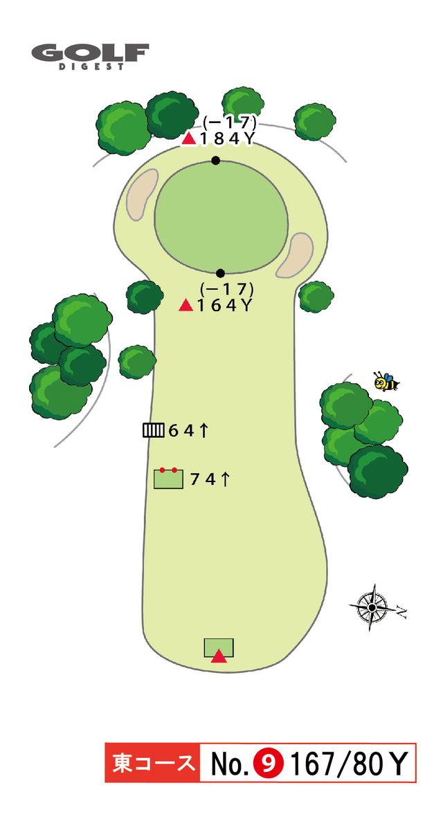 画像2: 東コース 9番 167Y/80Y