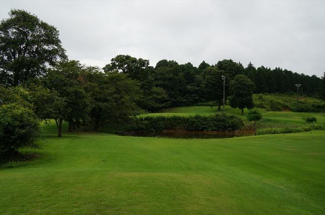 画像1: 東コース 4番 153Y/105Y