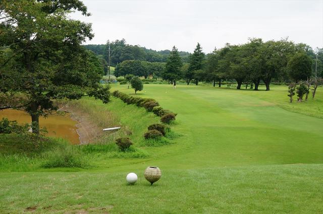 画像1: 東コース 5番 123Y