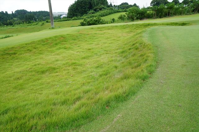 画像9: ヤーデージブックで風を読む! 竜ケ崎SC「西コース」攻略法