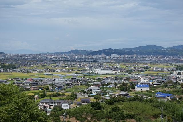 画像5: 【噂のSAグルメ】なんだかちょっと”いい予感”「豚骨肱川ラーメン」@伊予灘SA