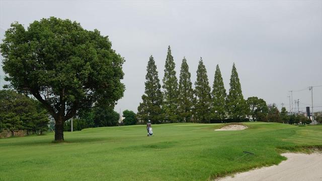 画像1: 中部大会 ニッケ弥冨ゴルフコース(愛知) 9月開催 6名通過