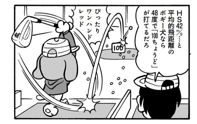 画像2: ウェッジ難民の救世主、その名は「ヨンパチウェッジ」