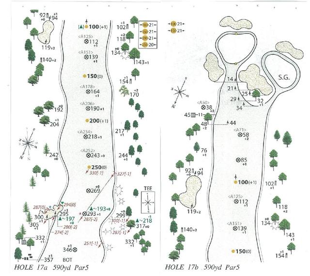 画像: 17番 590Y Par5 ラフからではレイアップすら難しい