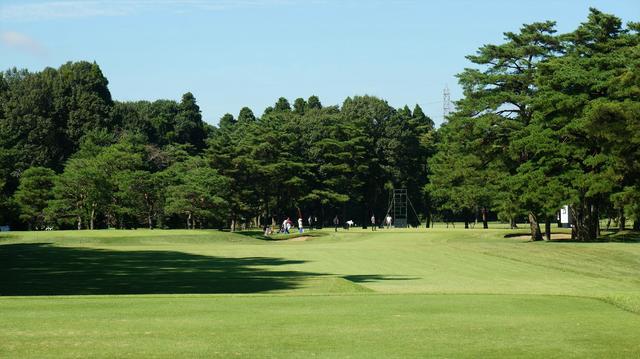 画像: かなりグリーンが遠く見えて、右の松がブラインドになる